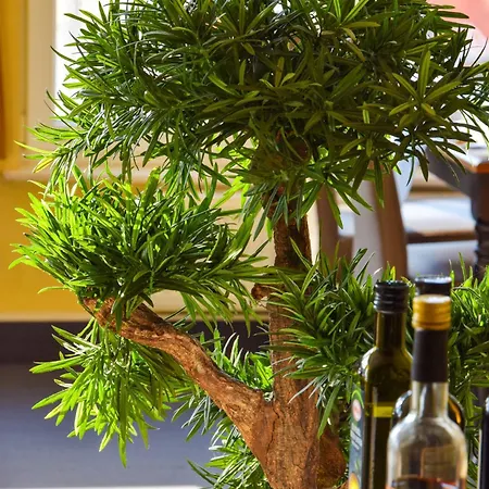 Strandvilla Viktoria Zinnowitz